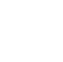 aloinfousa.com