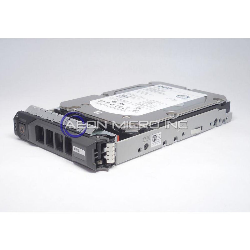 DW6D9 DELL 10TB 7.2K SAS 3.5" 12Gb/s HDD WITH 13 GEN TRAY FS-FoxTI