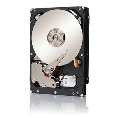 Seagate 2TB Enterprise Capacity HD SAS 6Gb/s 128MB Cache 3.5-Inch Internal Bare Drive (ST2000NM0023)-FoxTI