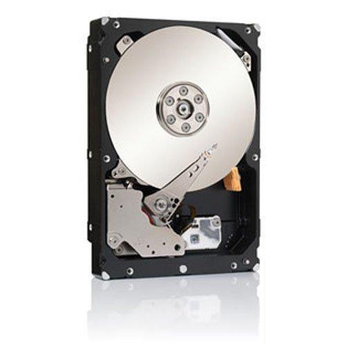 Seagate 2TB Enterprise Capacity HD SAS 6Gb/s 128MB Cache 3.5-Inch Internal Bare Drive (ST2000NM0023)-FoxTI